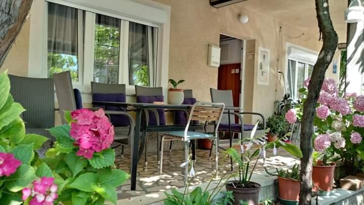 Apartman Paulina Apartment เซลเซ ภายนอก รูปภาพ